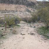 Review photo of Burro Creek Campground by Greg L., February 15, 2024