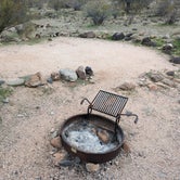 Review photo of Burro Creek Campground by Greg L., February 15, 2024