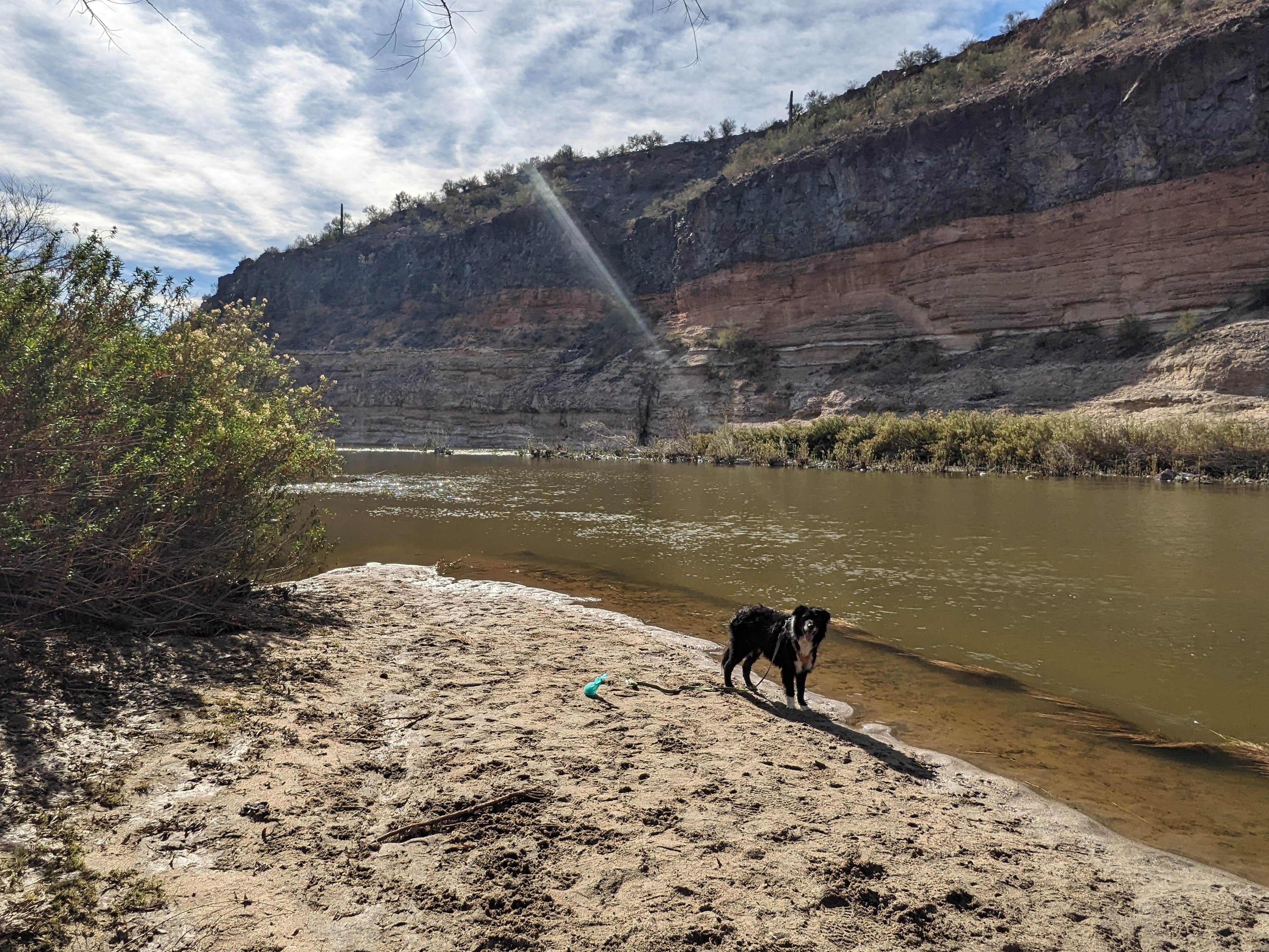 Greg L.'s photo of camping with pets at Burro Creek Campground near Aguila, AZ