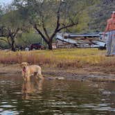 Review photo of Canyon Lake Marina & Campground by Tj R., April 24, 2025