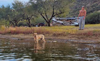 Tj R.'s photo of camping with pets at Canyon Lake Marina & Campground near Gilbert, AZ