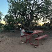 Review photo of Navajo National Monument Canyon View Campground by Chris P., May 14, 2025