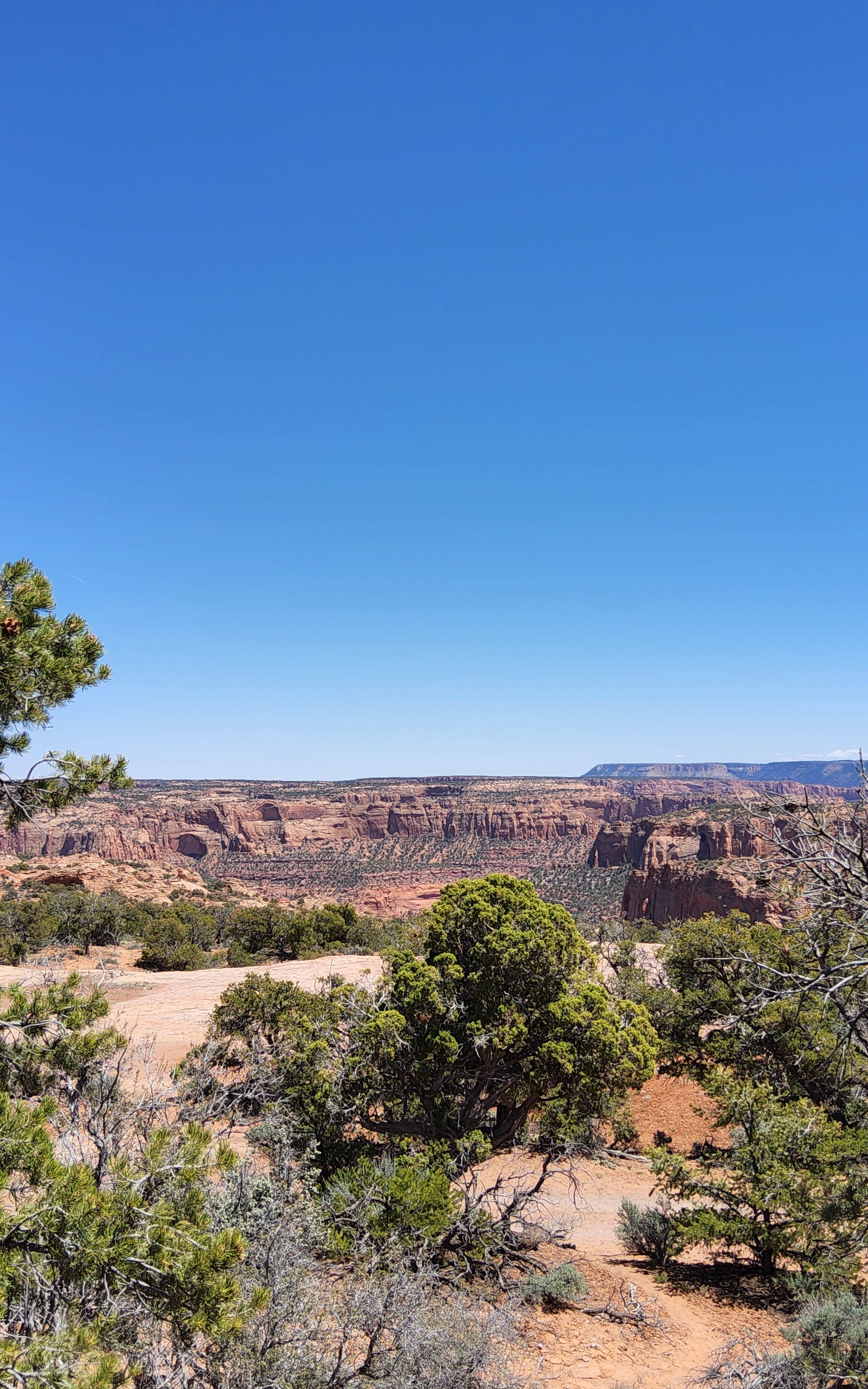 Camper-submitted photo at Navajo National Monument Canyon View Campground near Tonalea, AZ
