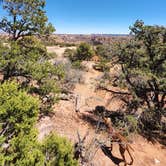 Review photo of Navajo National Monument Canyon View Campground by Anthony B., May 2, 2025