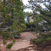 Review photo of Navajo National Monument Canyon View Campground by Travis H., July 7, 2025