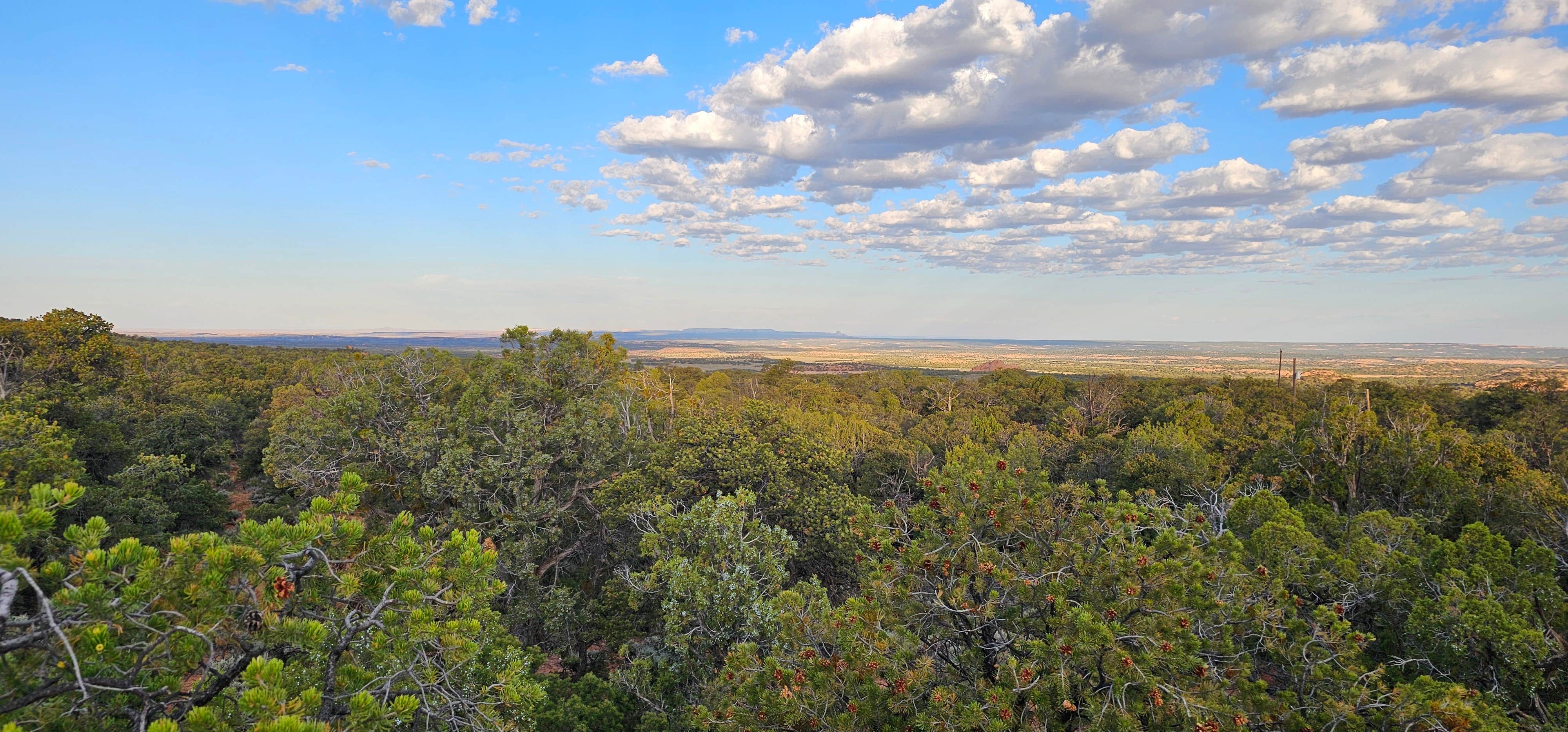 Camper-submitted photo at Navajo National Monument Canyon View Campground near Kayenta, AZ