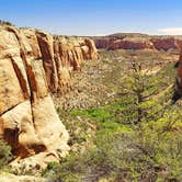 Review photo of Navajo National Monument Canyon View Campground by Berton M., May 30, 2024