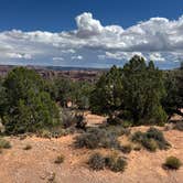 Review photo of Navajo National Monument Canyon View Campground by Nicola P., September 3, 2026