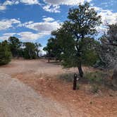 Review photo of Navajo National Monument Canyon View Campground by Roger W., June 14, 2024