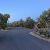 Review photo of Navajo National Monument Canyon View Campground by Chris P., May 14, 2025