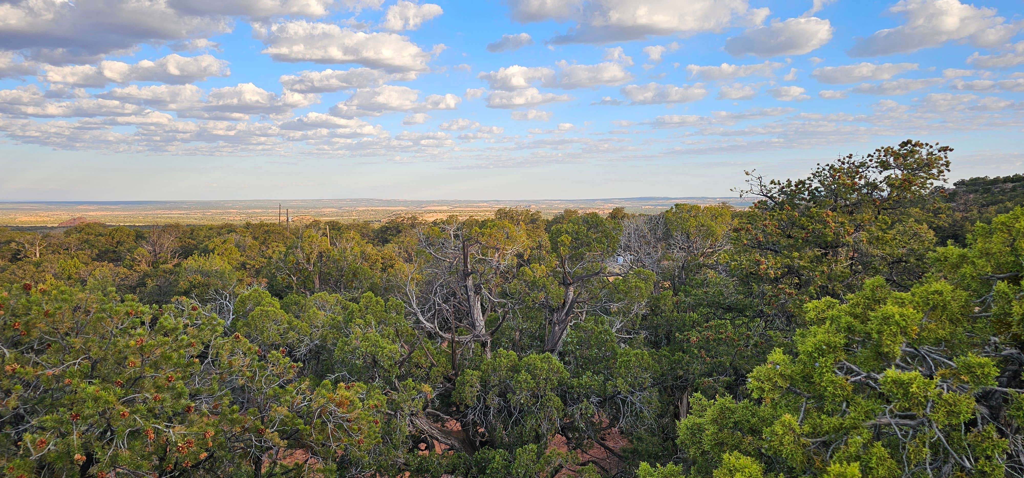 Camper-submitted photo at Navajo National Monument Canyon View Campground near Kayenta, AZ