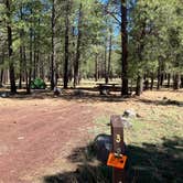 Review photo of Canyon Vista Campground by Roger W., June 14, 2024