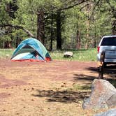 Review photo of Canyon Vista Campground by Roger W., June 14, 2024