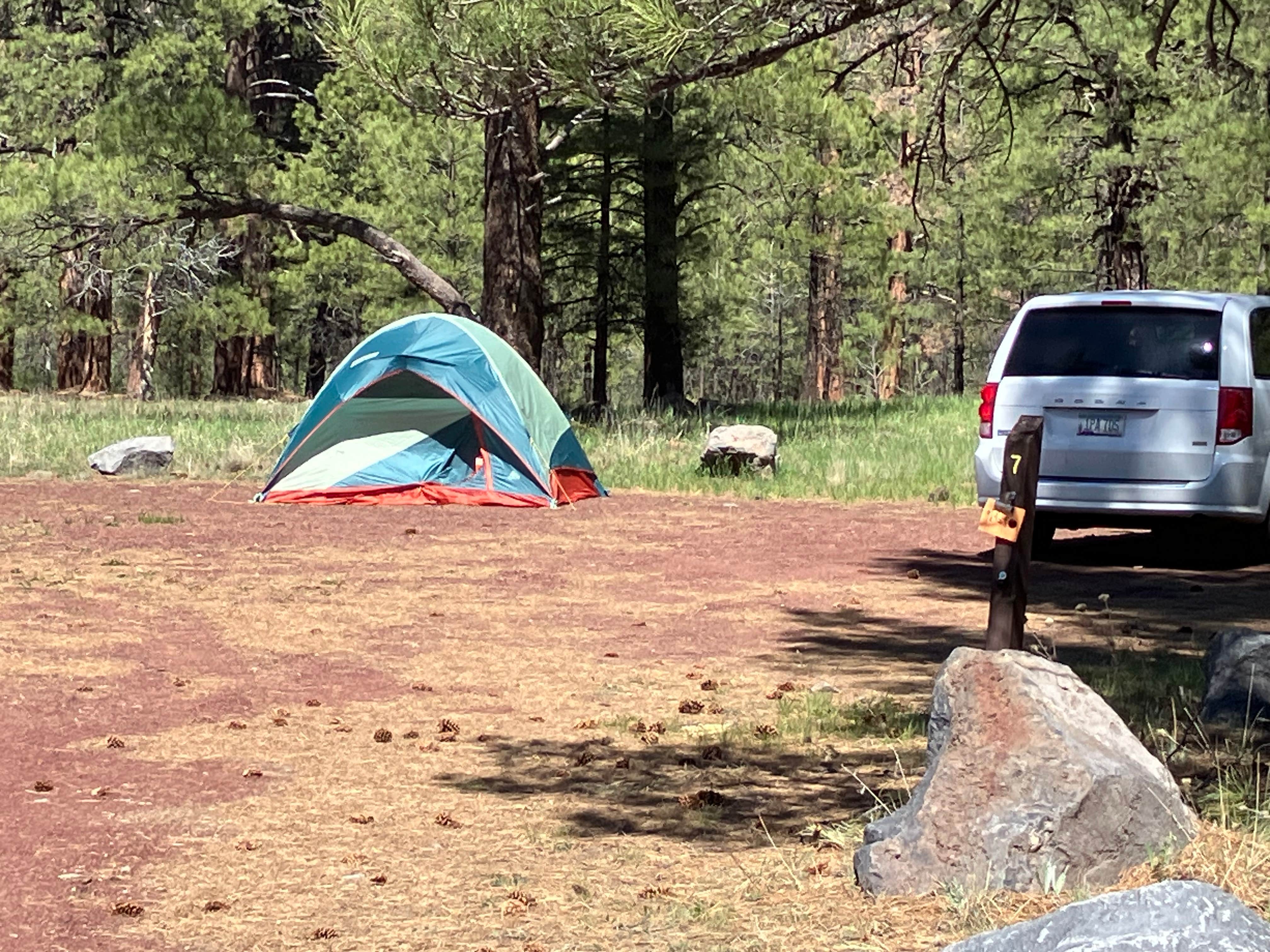 Camper submitted image from Canyon Vista Campground - 1