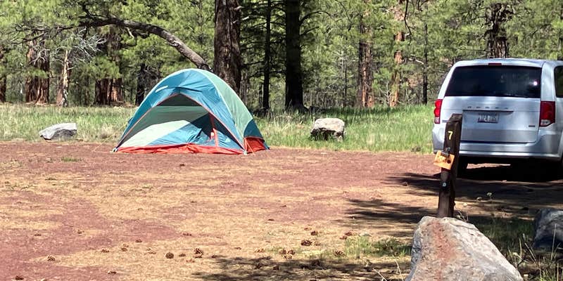 Camper submitted image from Canyon Vista Campground — Coconino National Forest Recreation
