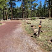 Review photo of Canyon Vista Campground by Roger W., June 14, 2024