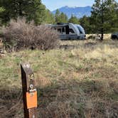 Review photo of Canyon Vista Campground by John R., May 11, 2025