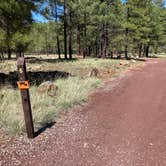 Review photo of Canyon Vista Campground by Roger W., June 14, 2024