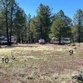 Review photo of Canyon Vista Campground by Roger W., June 14, 2024