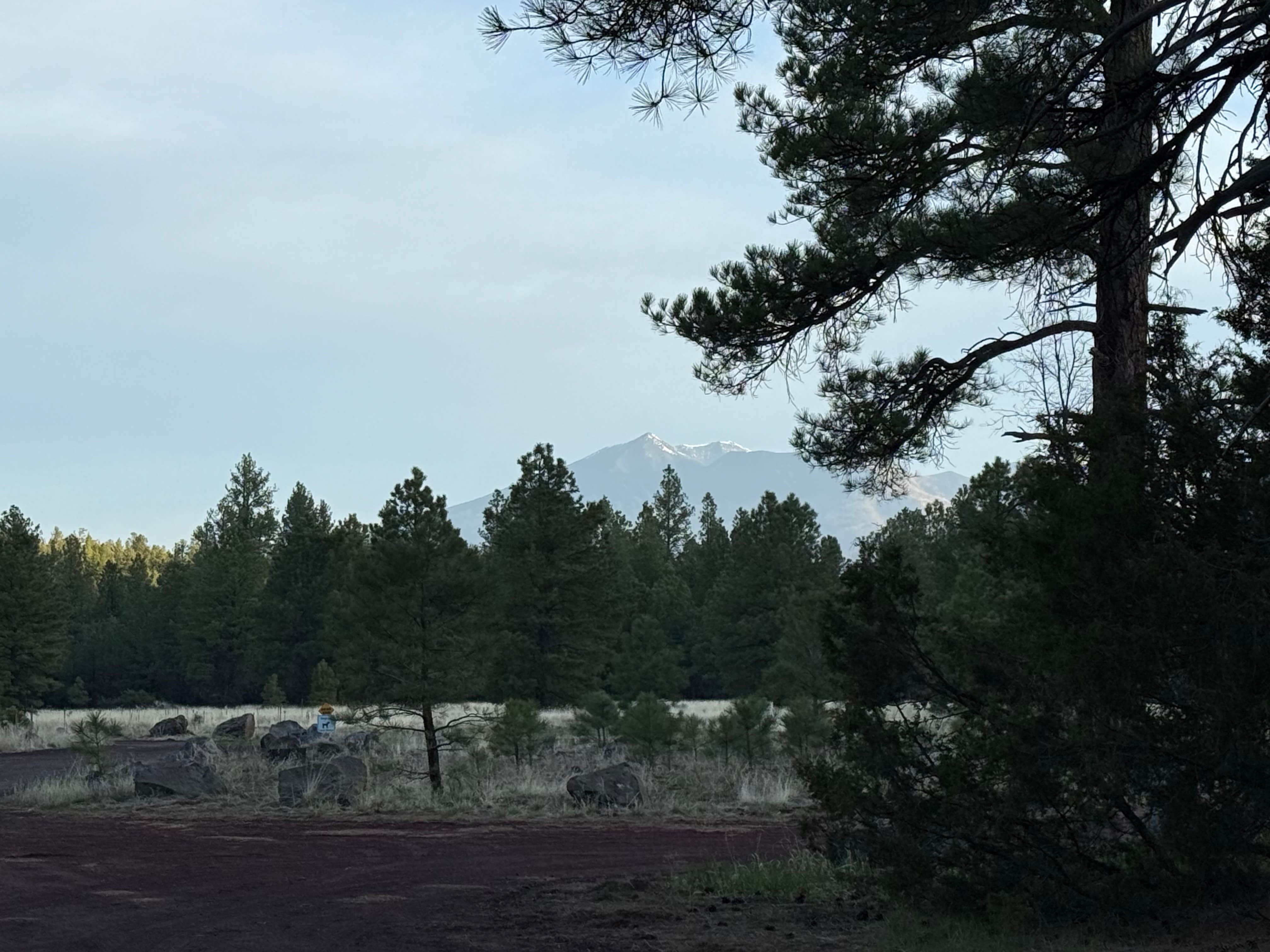 Camper-submitted photo at Canyon Vista Campground near Cottonwood, AZ