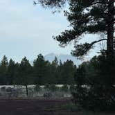 Review photo of Canyon Vista Campground by Ted M., May 17, 2025