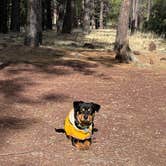 Review photo of Canyon Vista Campground by John R., May 11, 2025