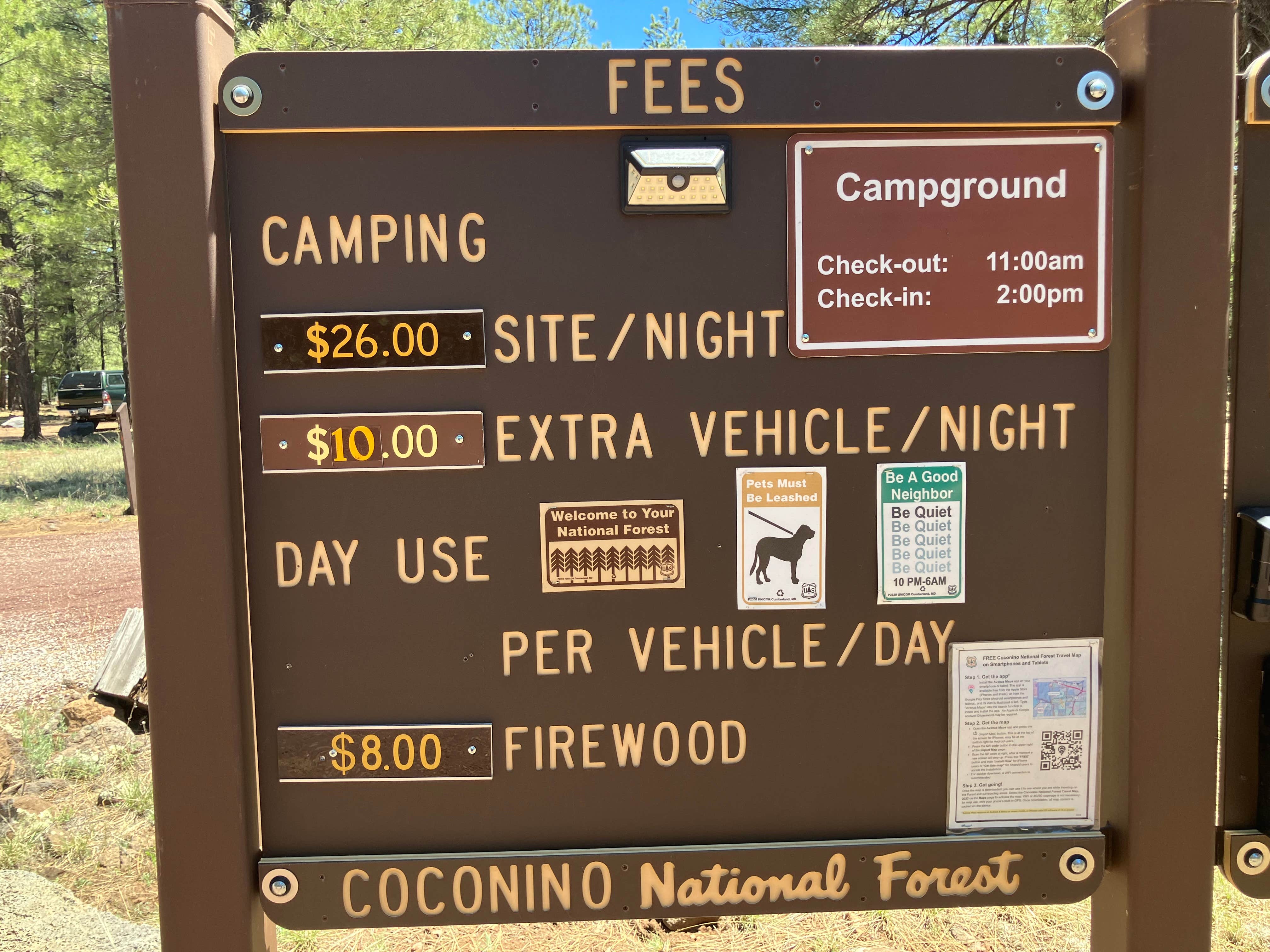 Roger W.'s photo of camping with pets at Canyon Vista Campground near Mormon Lake, AZ