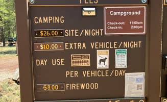 Roger W.'s photo of camping with pets at Canyon Vista Campground near Mormon Lake, AZ