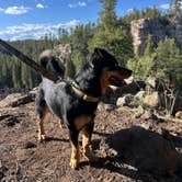 Review photo of Canyon Vista Campground by John R., May 11, 2025