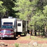 Review photo of Canyon Vista Campground by Roger W., June 14, 2024