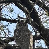 Review photo of Catalina State Park Campground by David N., January 26, 2026