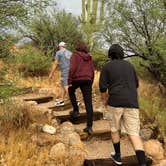 Review photo of Catalina State Park Campground by David T., June 30, 2024