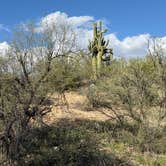Review photo of Catalina State Park Campground by Kim G., October 19, 2025