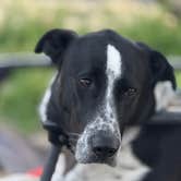 Review photo of Catalina State Park Campground by David N., January 26, 2026