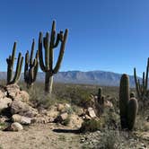 Review photo of Catalina State Park Campground by David N., January 26, 2026