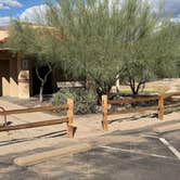 Review photo of Catalina State Park Campground by Kim G., October 19, 2025