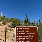 Review photo of Catalina State Park Campground by Kim G., October 19, 2025