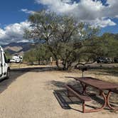 Review photo of Catalina State Park Campground by Kim G., October 19, 2025