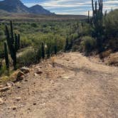 Review photo of Catalina State Park Campground by Hillary B., November 8, 2025