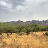 Review photo of Catalina State Park Campground by David T., June 30, 2024