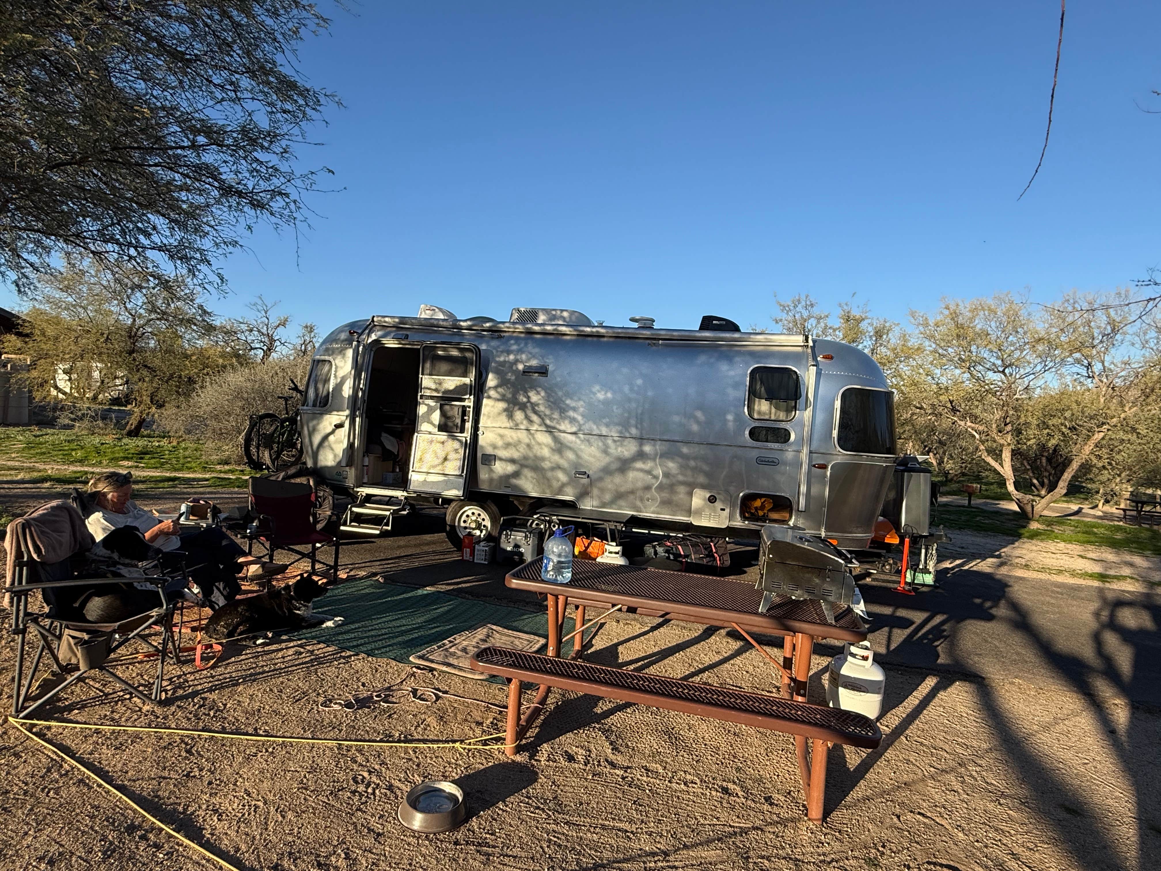 David N.'s photo of camping with pets at Catalina State Park Campground near Vail, AZ