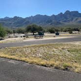 Review photo of Catalina State Park Campground by Kim G., October 19, 2025