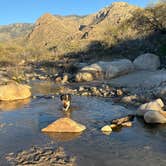 Review photo of Catalina State Park Campground by David N., January 26, 2026