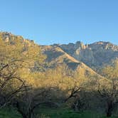 Review photo of Catalina State Park Campground by David N., January 26, 2026