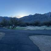 Review photo of Catalina State Park Campground by Blair G., February 12, 2024