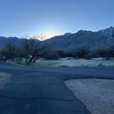 Review photo of Catalina State Park by Blair G., February 12, 2024