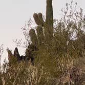 Review photo of Cave Creek Regional Park by John R., January 19, 2024