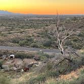 Review photo of Cave Creek Regional Park by John R., January 19, 2024