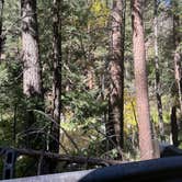 Review photo of Cave Springs by Shirlee A., October 27, 2025