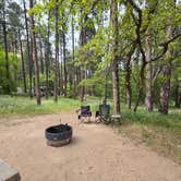 Review photo of Cave Springs by Steve M., May 4, 2026